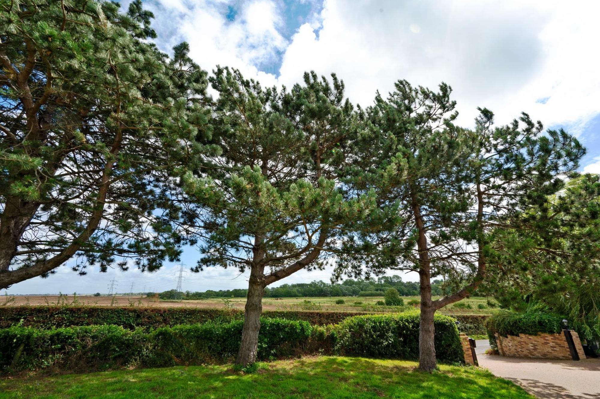 Owlet Lodge Chislet Exteriör bild
